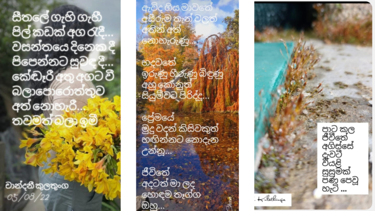 පන්හිඳ….