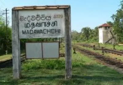 මැදවච්චිය ලඟ වලහැංගුනාව..!