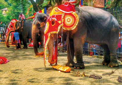 ඇත් රජුනි, යදම් බර වැඩිද පාබැඳි…?
