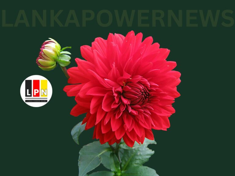 The Jewel in the Crown: Christchurch Botanic Gardens