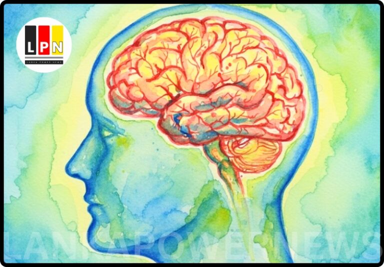 The Basics of Dementia..!