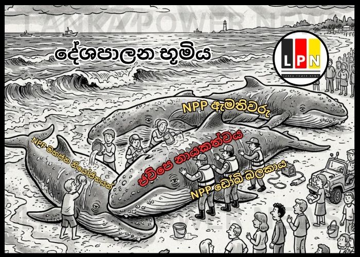 Cartoon-21-06-26-Featured-2